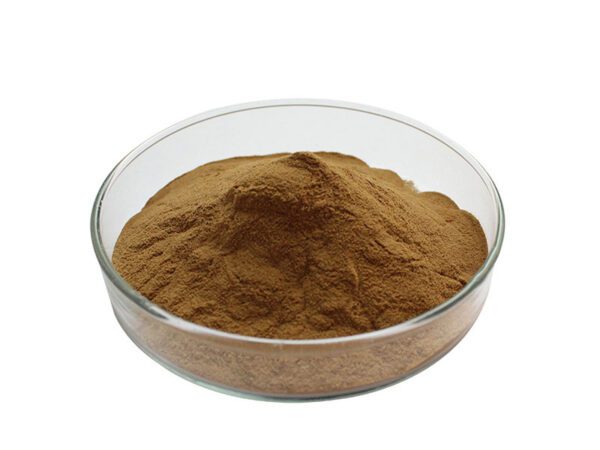 Polvo de extracto de hongo maitake orgánico