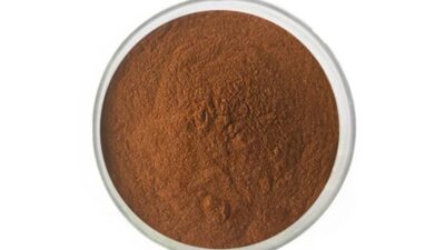 Polvo de extracto de té negro orgánico