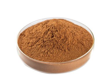Polvo de extracto de raíz de bardana orgánico