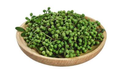 Fresno espinoso verde orgánico