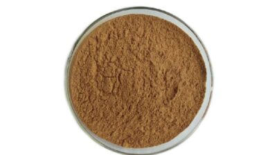 Polvo de extracto de flor de tilo orgánico