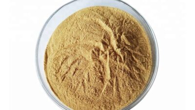 Polvo de extracto de avena orgánica