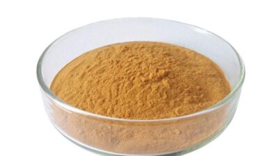 Polvo de extracto de té orgánico Oolong