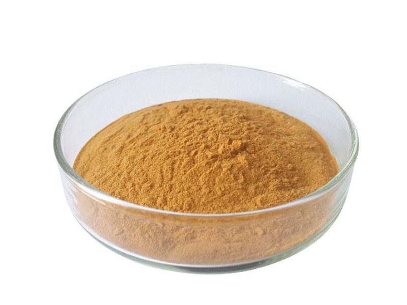 Polvo de extracto de té orgánico Oolong Polvo de extracto de té orgánico Oolong