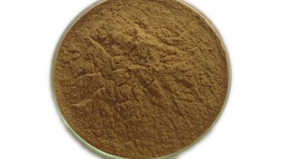 Resveratrol orgánico