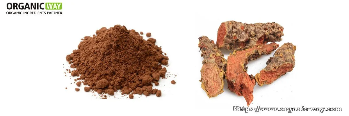Polvo De Extracto De Rhodiola Rosea Organic Rhodiola Rosea Extract Powder