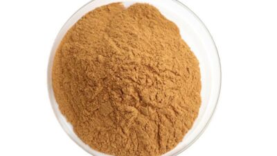 Polvo de extracto de té blanco orgánico