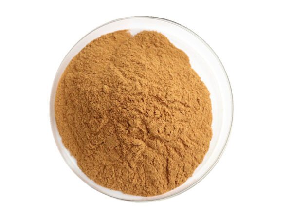 Polvo de extracto de té blanco orgánico