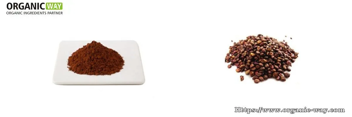 Extracto De Semilla De Uva En Polvo Organic Grapeseed Extract Powder