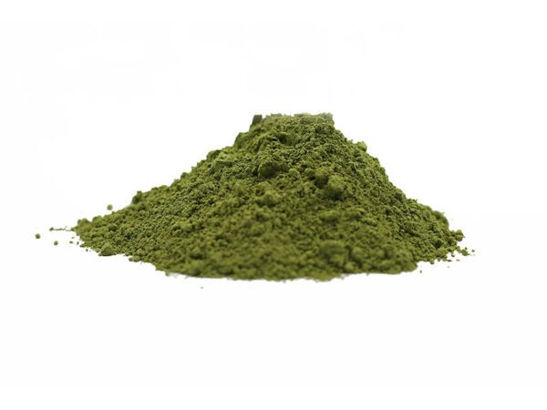 Polvo de hierba de trigo sarraceno orgánico