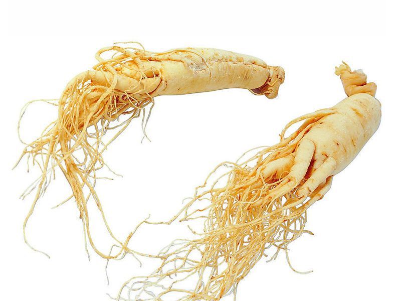Ginseng fresco orgánico Ginseng fresco orgánico