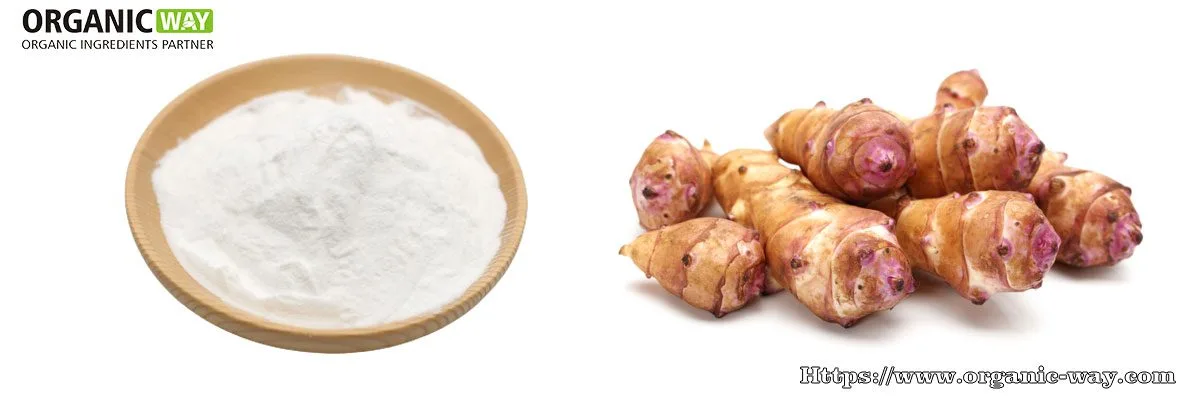 Polvo De Inulina Orgánica Organic-Inulin