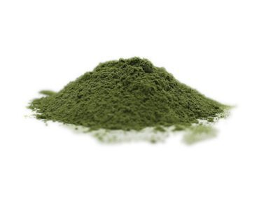 Polvo de hierba de avena orgánica