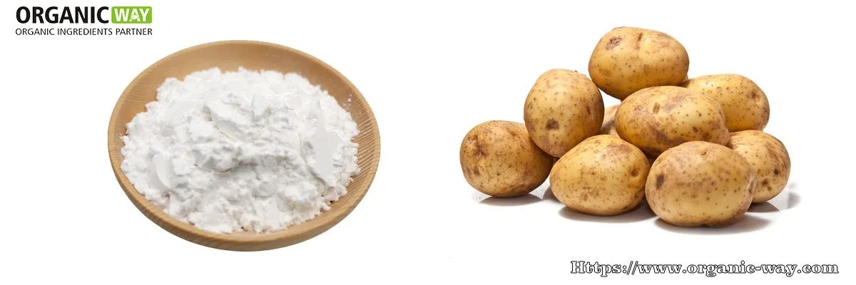 Almidón De Patata Orgánico En Polvo Almidón De Patata Orgánico