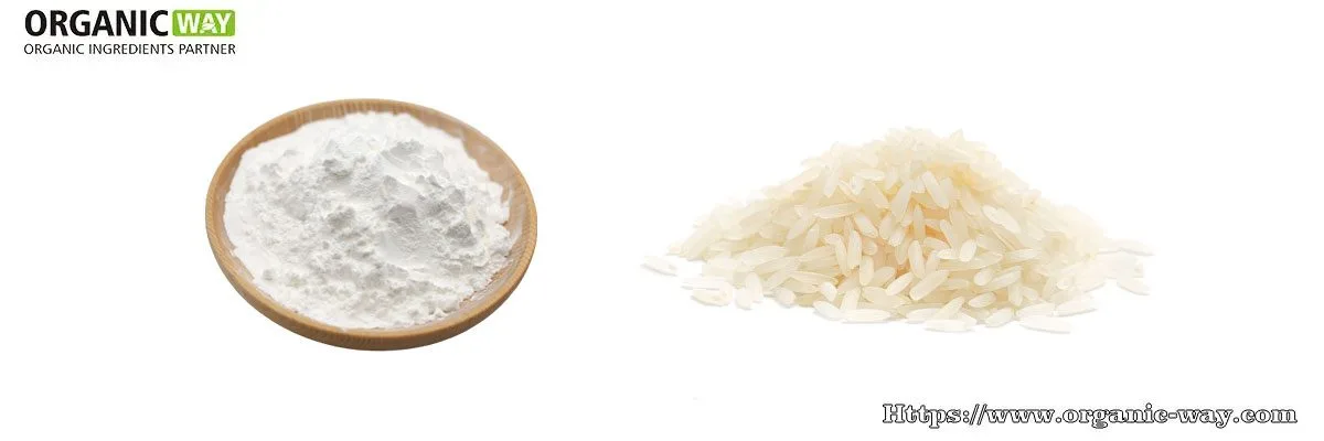 Almidón De Arroz Almidón De Arroz