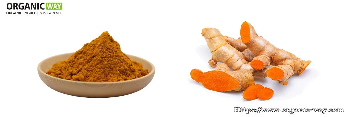 Extracto De Cúrcuma Orgánico En Polvo Extracto De Cúrcuma Orgánico