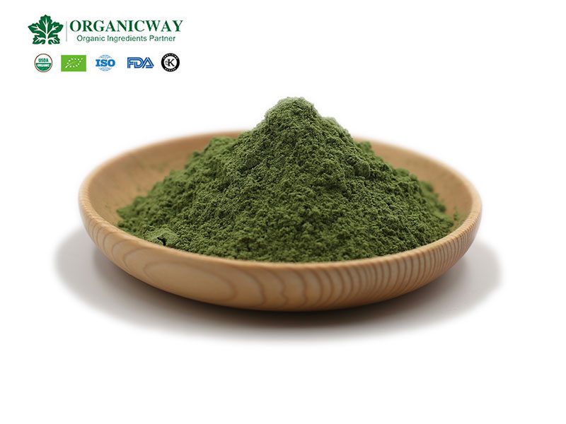 ¿Cuál es el efecto de tomar polvo de hierba de cebada? barley grass powder
