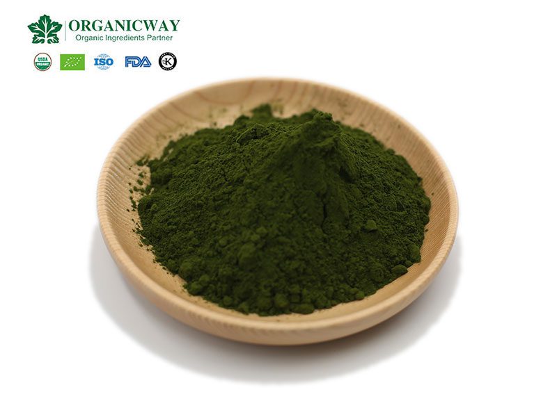 11 secretos desconocidos de la chlorella: la eficacia y función de las tabletas de chlorella chlorella powder