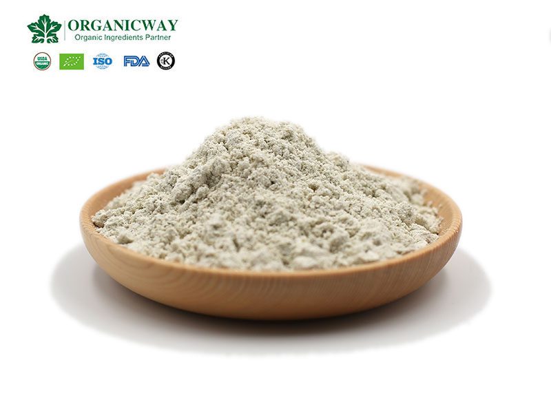 Receta de proteína de semilla de cáñamo hemp protein