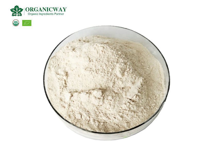 Los datos nutricionales de la proteína de soja orgánica en polvo organic soy protein nutrition facts