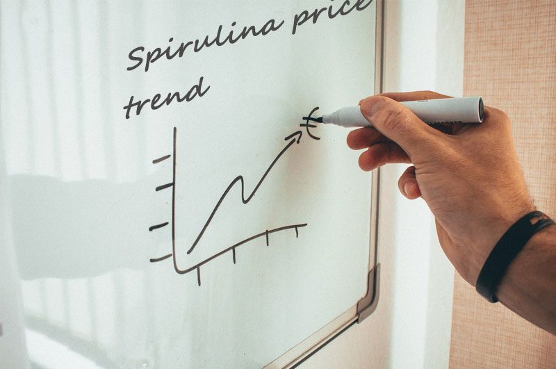 La espirulina en polvo y las tabletas de espirulina en el mercado se enfrentan a la presión de quedarse sin existencias organic spirulina price trend