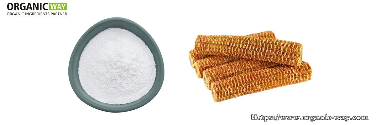 Xilooligosacáridos Organic Xylooligosaccharides Powder