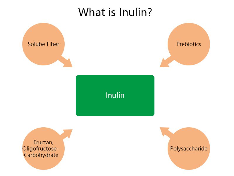 ¿Qué es la inulina y qué hace? What is inulin