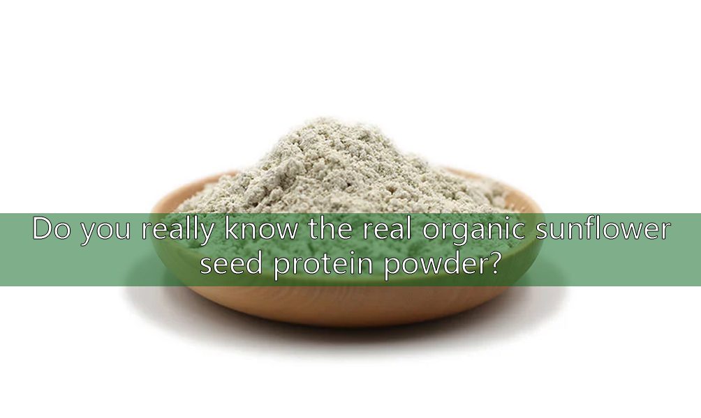 ¿Conoces realmente el polvo de proteína de semilla de girasol orgánica real? organic sunflower seed protein powder