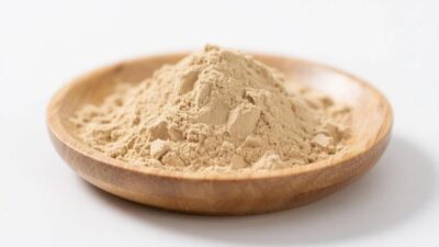 organic lion's mane extract powder
