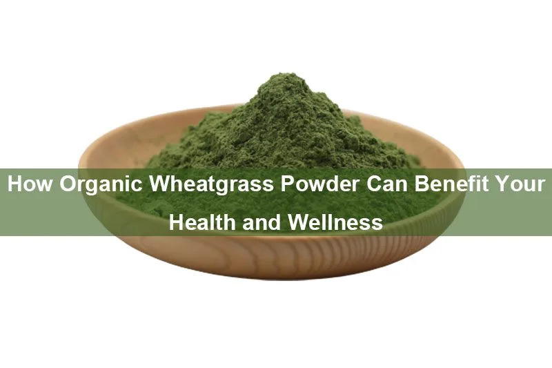 Cómo Puede Beneficiar El Polvo De Hierba De Trigo Orgánico A Su Salud Y Bienestar How Organic Wheatgrass Powder Can Benefit Your Health And Wellness