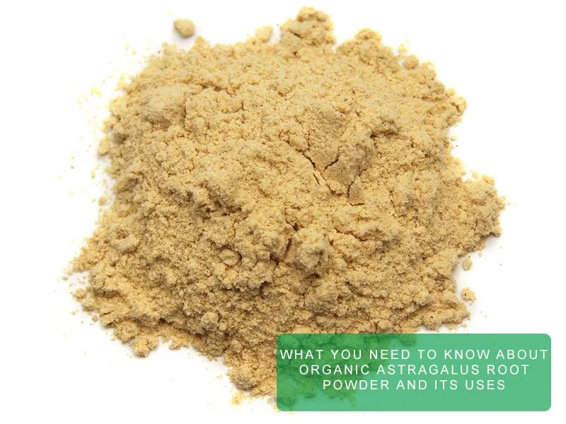 Lo Que Necesita Saber Sobre La Raíz De Astrágalo Orgánica En Polvo Y Sus Usos What You Need To Know About Organic Astragalus Root Powder And Its Uses