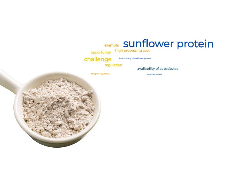 Cómo la proteína de girasol orgánica puede competir en el mercado mundial de proteínas Tendencias competitivas de la proteína de girasol orgánica