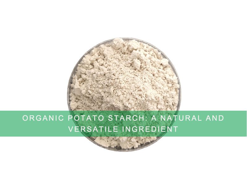 Mercado de proteína de girasol orgánica: una descripción global Mercado de proteína de girasol orgánica: una descripción global
