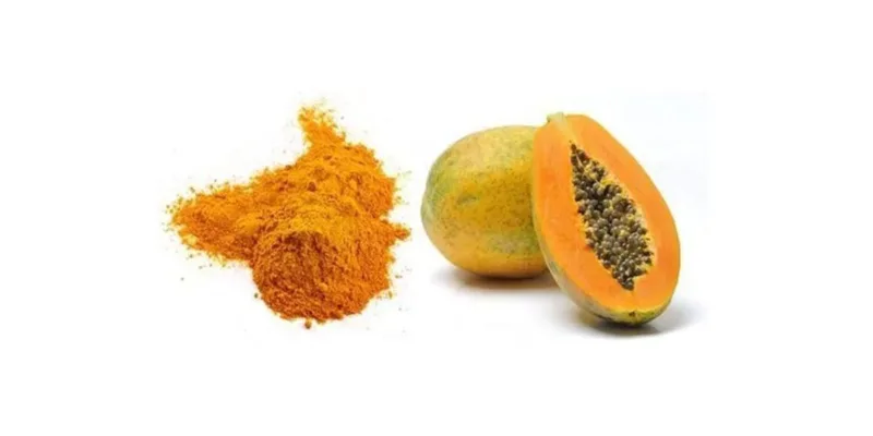 Explorando La Versatilidad Y Los Beneficios Para La Salud Del Polvo De Papaya Ecológico En Aplicaciones Culinarias Organic Papaya Powder