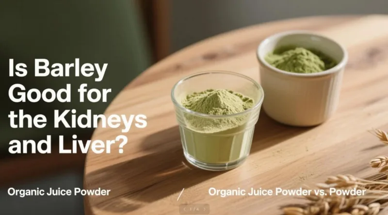 ¿La Cebada Es Buena Para Los Riñones Y El Hígado? Polvo De Jugo Orgánico Vs. Polvo Is Barley Good For The Kidneys And Liver? Organic Juice Powder Vs. Powder