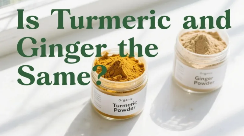 ¿Son Lo Mismo La Cúrcuma Y El Jengibre? Polvo De Cúrcuma Orgánica Vs. Polvo De Jengibre, Descifrado Is Turmeric And Ginger The Same