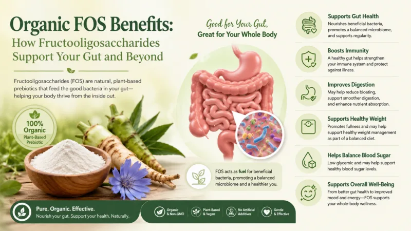 Beneficios De Los Fos Orgánicos: Cómo Los Fructooligosacáridos Apoyan Su Intestino Y Más Allá Organic Fos Benefits: How Fructooligosaccharides Support Your Gut And Beyond