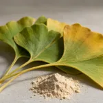 Polvo de extracto de Ginkgo Biloba: guía de compra sobre beneficios, especificaciones y formulación