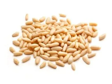 piñones orgánicos