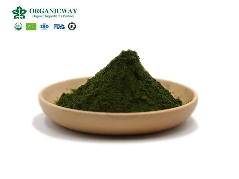 Chlorella, Una Esmeralda Comestible Dotada Por La Naturaleza Chlorella Powder