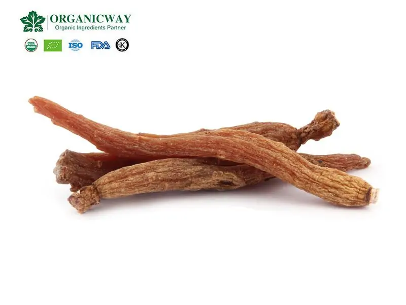 Eficacia Y Funciones Del Ginseng Rojo Red Ginseng Root